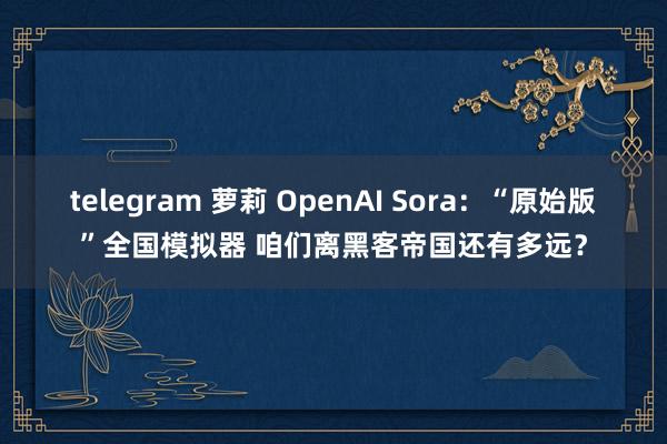 telegram 萝莉 OpenAI Sora：“原始版”全国模拟器 咱们离黑客帝国还有多远？