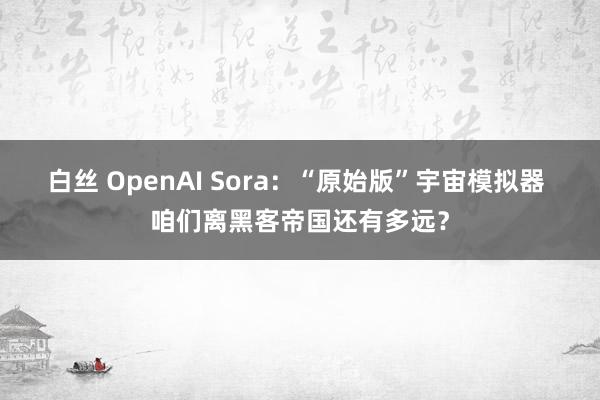 白丝 OpenAI Sora：“原始版”宇宙模拟器 咱们离黑客帝国还有多远？